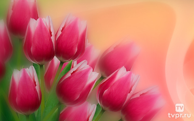 Концерт к Международному женскому дню