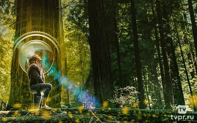 Природа глазами женщин