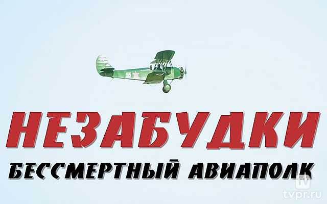 Незабудки. Бессмертный авиаполк