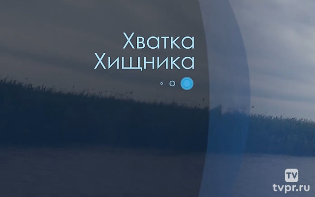 Хватка хищника