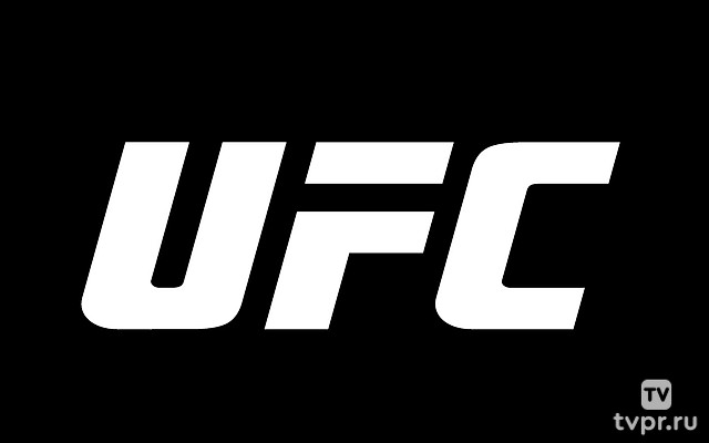 Смешанные единоборства. UFC. Анкалаев vs Перейра. Перед боем