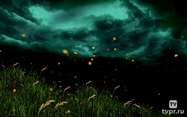 Заброшенные усадьбы