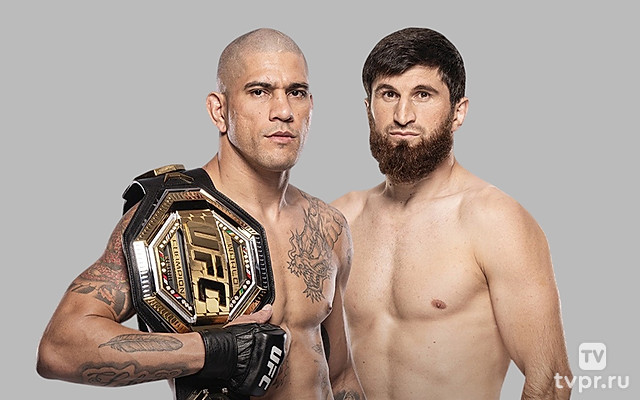 Магомед Анкалаев VS Алекс Перейра. Перед боем