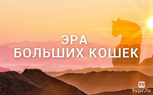 Эра больших кошек