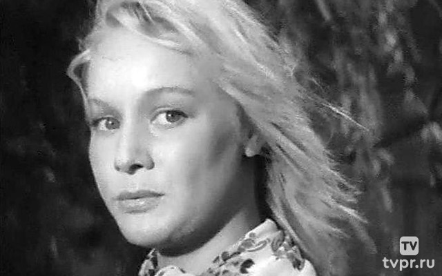 Под стук колёс