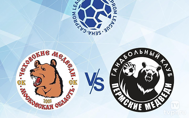 Гандбол. SEHA - Gazprom League. Четвертьфинал. Чеховские Медведи - Пермские Медведи
