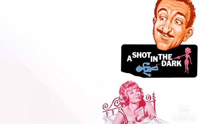 Выстрел в темноте