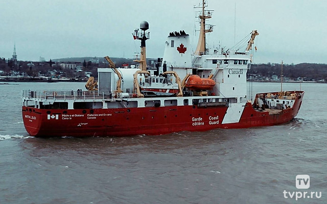 Береговая охрана