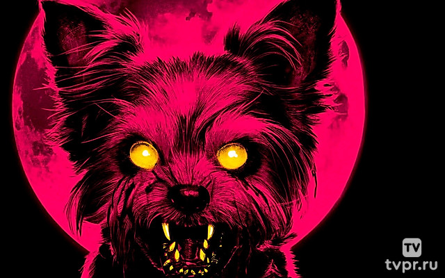 Йорк-оборотень