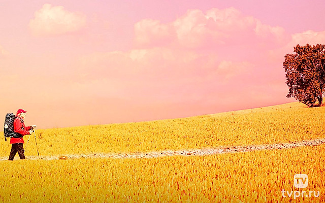 Путь, мой путь