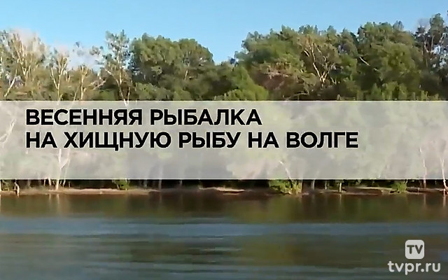 Весенняя рыбалка на хищную рыбу на Волге