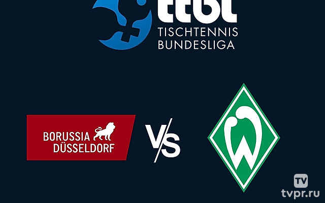 Настольный теннис Bundesliga 2024/25 - Matchday 20 -- Боруссия Дортмунд - Вердер Бремен