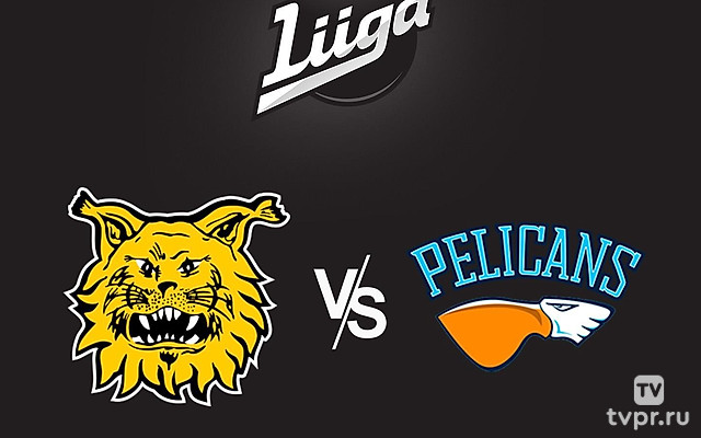 Хоккей Финская Хоккейная Лига Liiga. Регулярный сезон 2024/25. Ильвес (Тампере) - Пеликанс (Лахти)