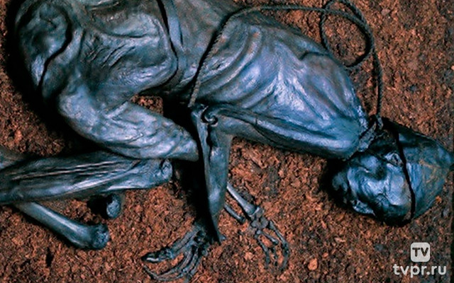 Человек из Толлунда