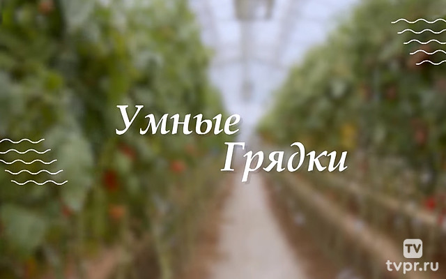 Умные грядки