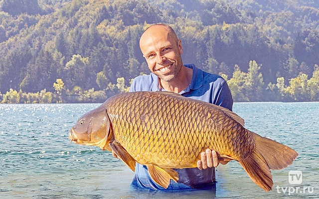 Звёзды рыбалки