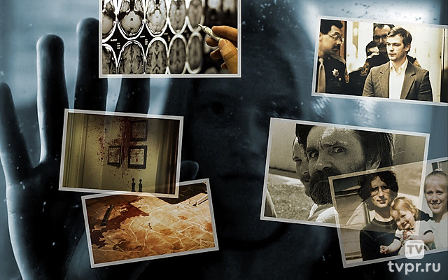 Внутри криминального разума