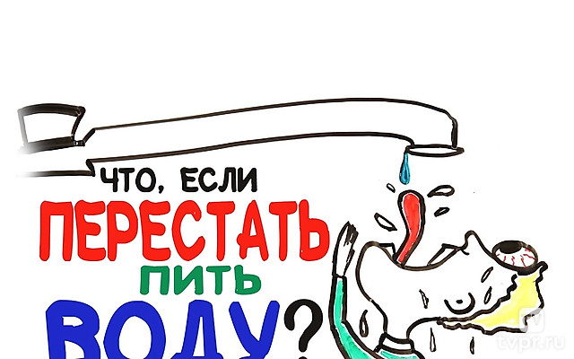 Что, если перестать пить воду?
