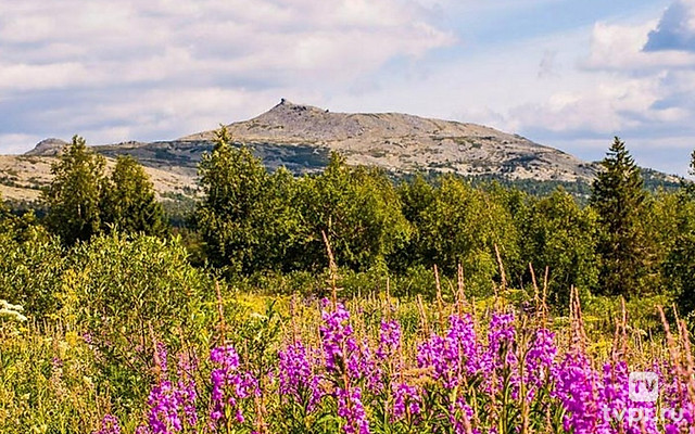 Гора Ослянка