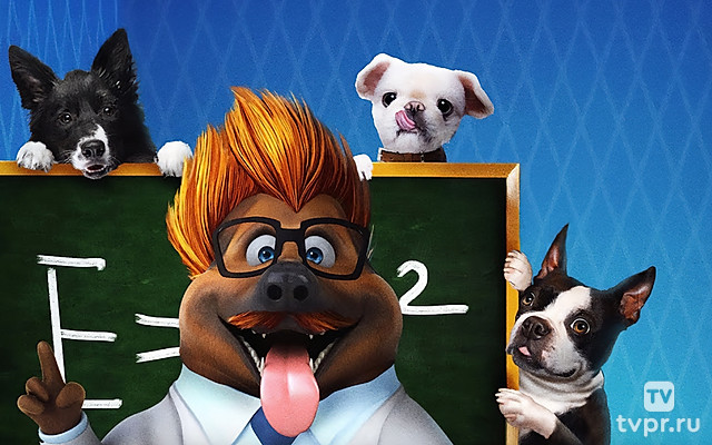 Собаки-гении