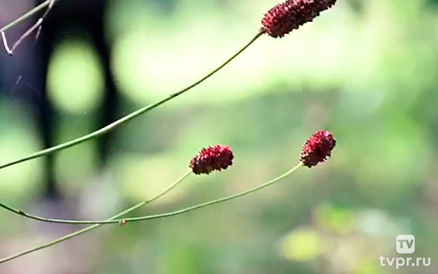 Однажды осенним днём