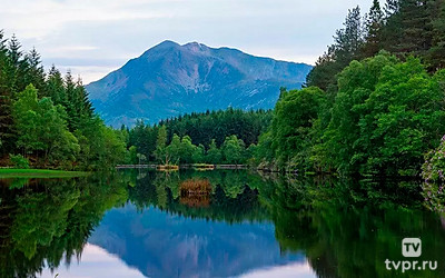 Живая Природа