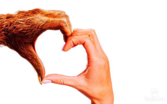 Мой сосед — монстр