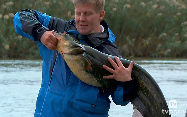 Рыбалка на сома