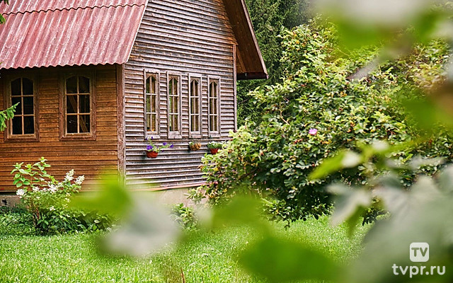 Дачный угодник