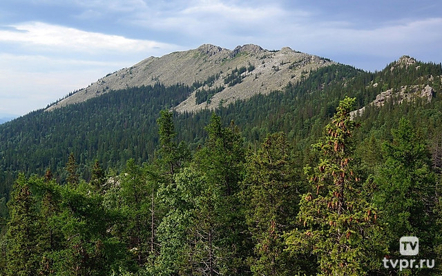 Большая Сука