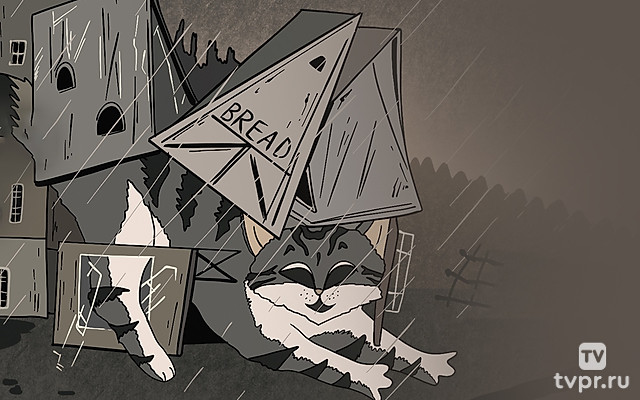 Дождливая история