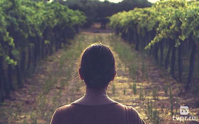 Рабочий день