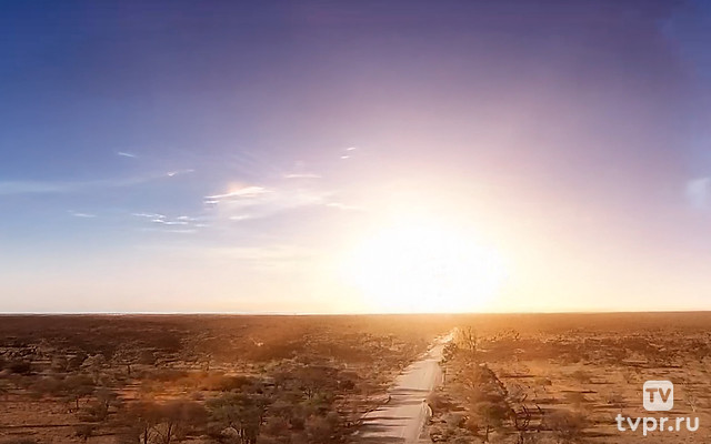 Африка. Проклятые рудники