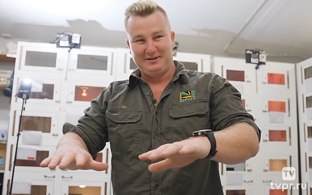 Кто, где и как собирает яд для противоядий