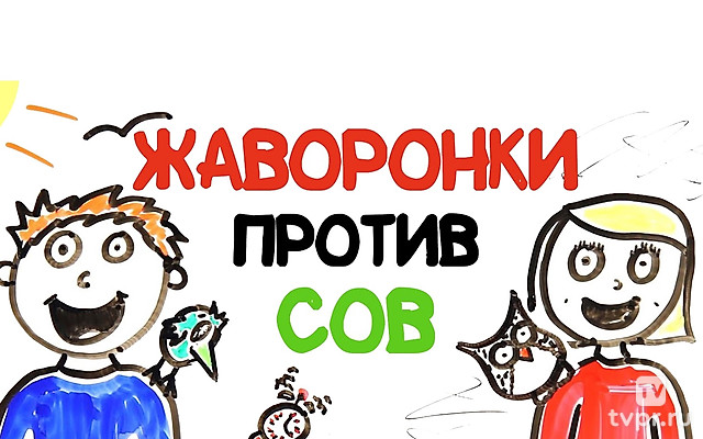 Жаворонки против сов