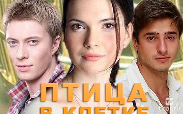 Птица в клетке