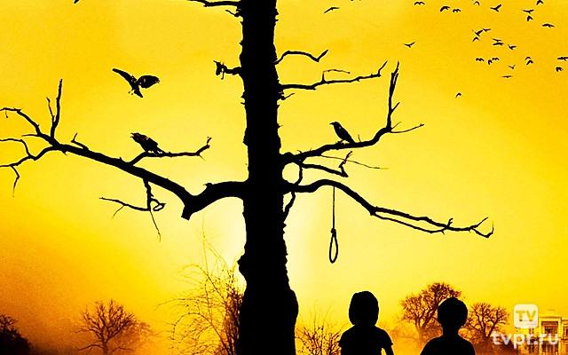 Проклятие колдовского дерева