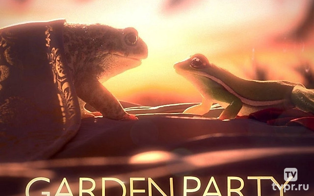 Вечеринка в саду