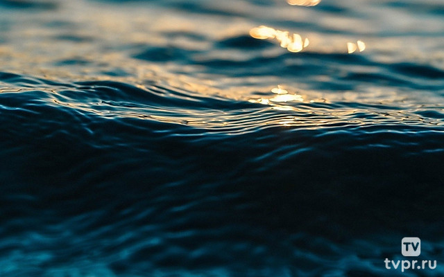 Дикая природа океанов