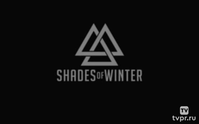 Оттенки зимы