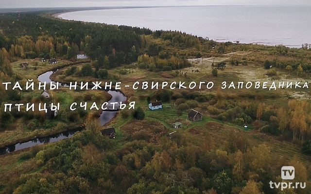 Тайны Нижне-Свирского заповедника. Птицы счастья