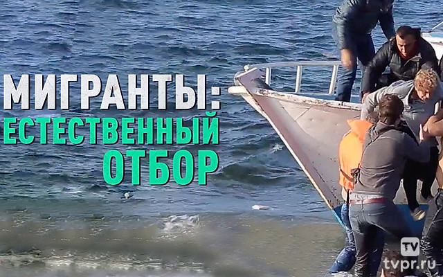 Мигранты: естественный отбор