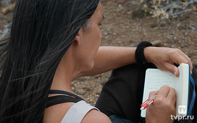 Чеглоки Элеоноры. Стражи ветра