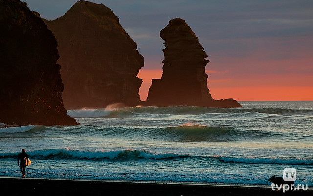 Плавающий с акулами