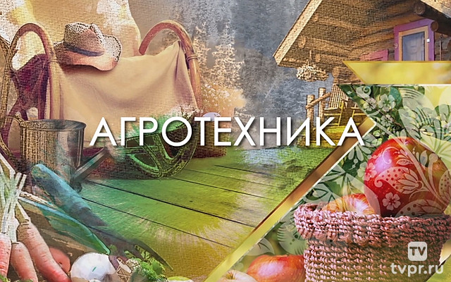 Агротехника