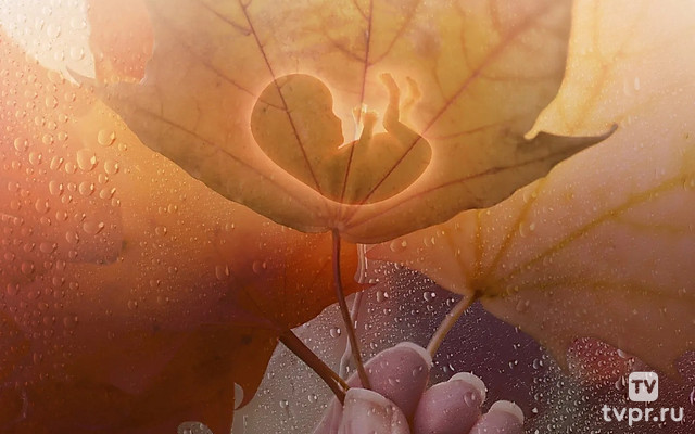 Азбука Морзе