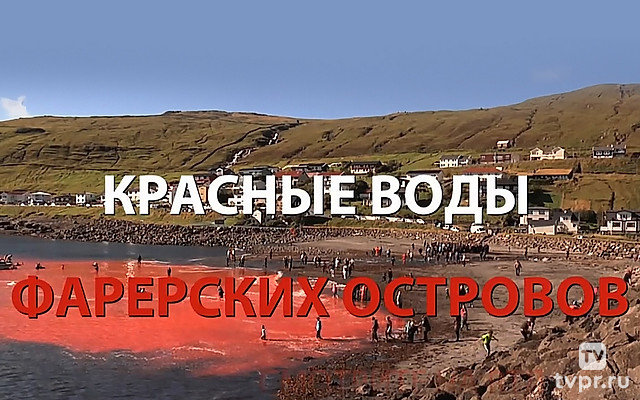 Красные воды Фарерских островов