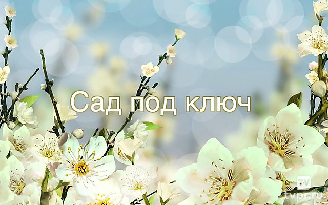 Сад под ключ