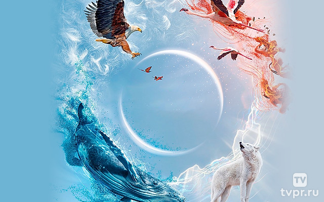 Идеальная планета