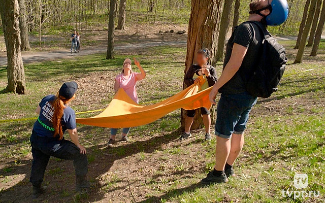 Спасение животных